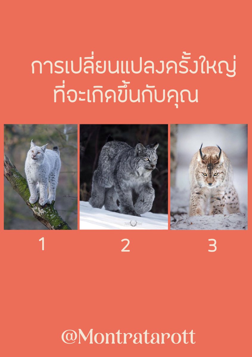 Pick a card การเปลี่ยนแปลงครั้งใหญ่ที่จะเกิดขึ้นกับคุณ⚡️✨

คำทำนายอยู่ในคอมเมนท์นะคะ
ฝากกดติดตาม รีทวิต เป็นกำลังใจให้แม่หมอด้วยนะค้า #montratarottpickacard #ดูดวงฟรี #ดูดวง #ดูดวงการงาน #ดูดวงความรัก