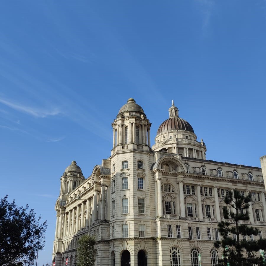 Chapter Mental Health tweet media