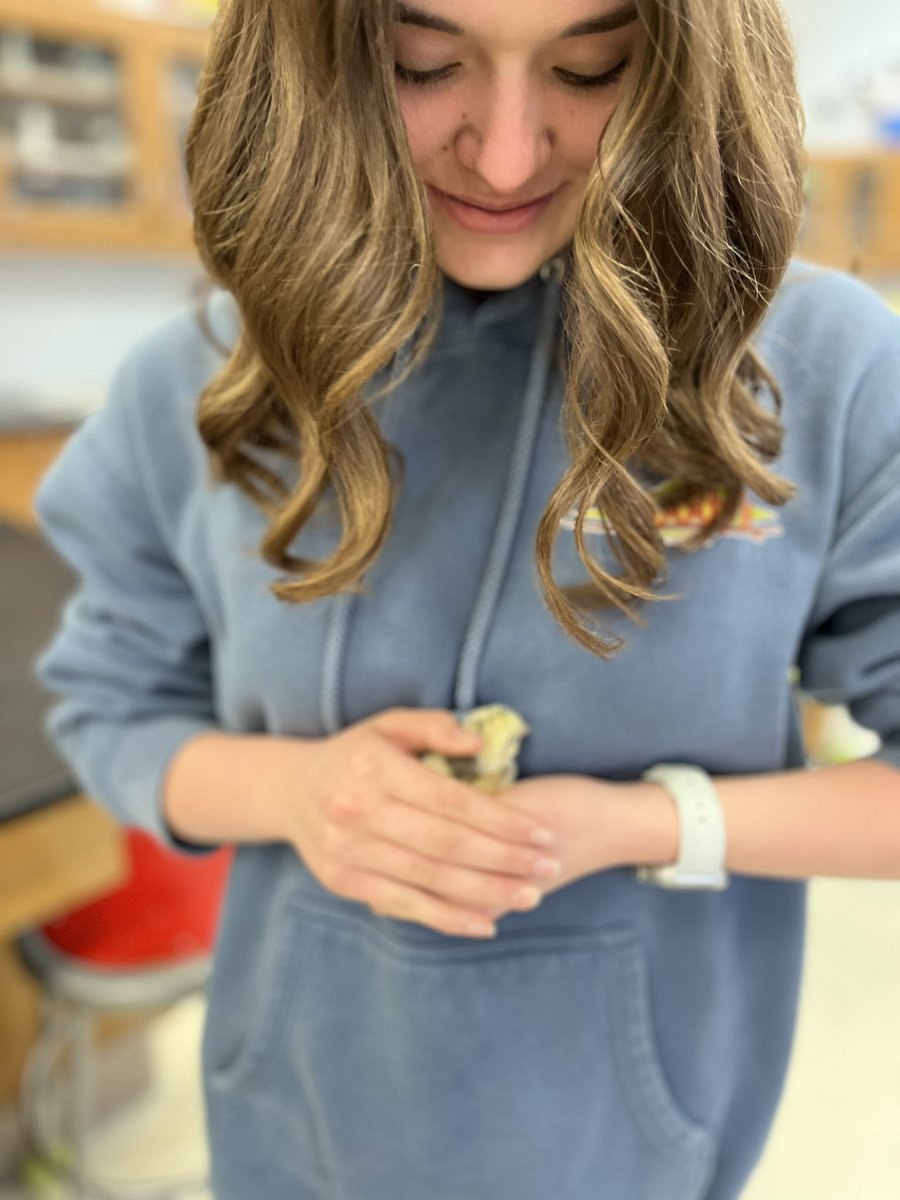 Ms. Phan tweet media