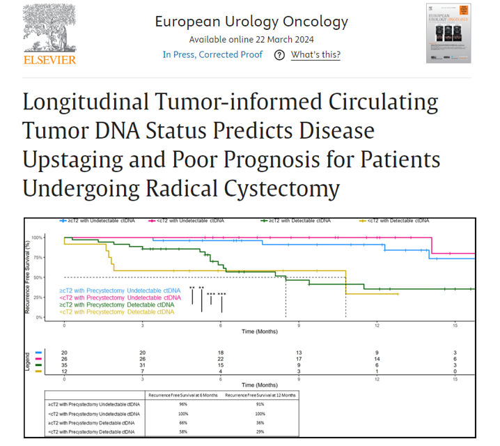 Thrilled on our lastest publication in European Urology Oncology! ctDNA may revolutionize the way we choose treatment modalities for patients with bladder cancer. Paving our way in adding the letter G-for genomic to TNM staging, adding another layer of clarity to our patients.…