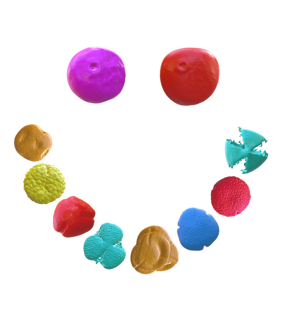 The #3Dpollenlibrary @NIH3D  for all your #3Dpollen needs🙂
Below: some  recent #3Dpollen models made in collaboration with <a href="/Heather_Pardoe/">Heather Pardoe</a> <a href="/CardiffCurator/">Cardiff Curator</a>
A lot more here: 3d.nih.gov/collections/3d…