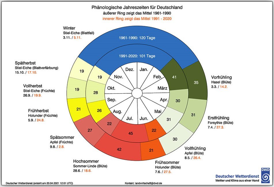 SergeZaka's tweet image. La saisonnalité végétale de notre enfance est profondément bouleversée par le changement climatique :
- Nos arbres ont perdu 3 semaines (!) de dormance hivernale.
- Le début du printemps phénologique n&apos;est plus en mars, il est en février.
- L&apos;été phénologique ne démarre plus en…