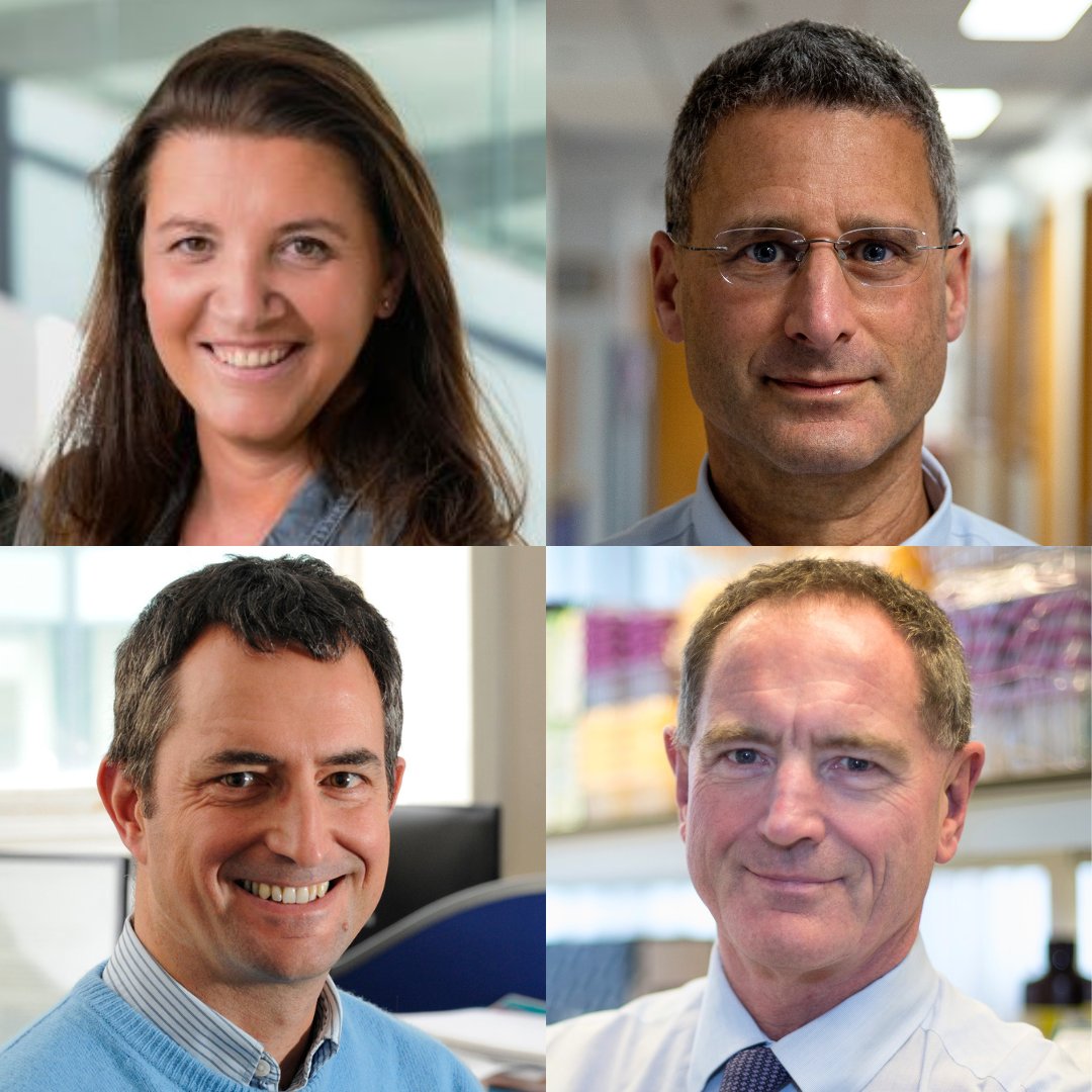 Congratulations to @ProfDBaralle, @SaulFaust, @nickafrancis and @profrobread who have each been appointed as @NIHRresearch Senior Investigators! 👏 This prestigious honour underlines their status as outstanding research leaders. research.uhs.nhs.uk/news/southampt…