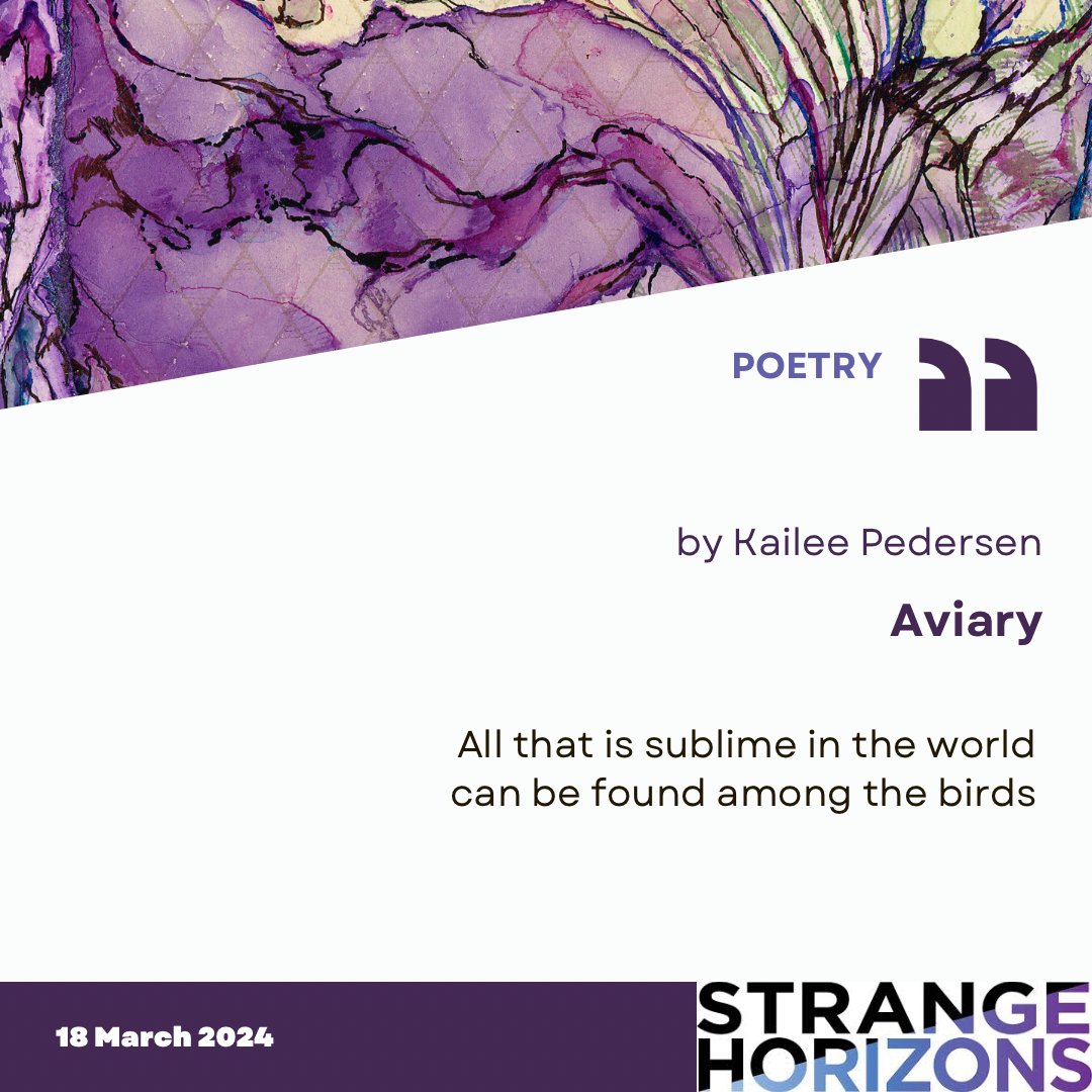 'Aviary' by Kailee Pedersen. 'All that is sublime in the world can be found among the birds' Read the whole piece at the link in our bio!