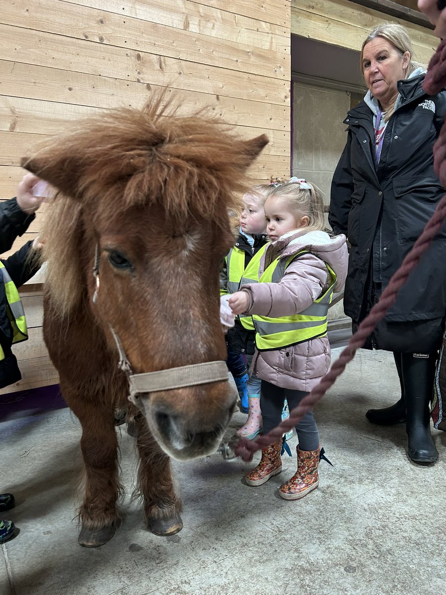 Nursery & Reception Bridgewater Park (@bwpnurseryeyfs) on Twitter photo We have had a wonderful day at <a href="/FarmerTedsFarm/">Farmer Teds</a>! We got to ride and tractor, brush ponies, meet some Guinea Pigs and lots of other wonderful farm animals π·π΄π¦ We have had a wonderful day at <a href="/FarmerTedsFarm/">Farmer Teds</a>! We got to ride and tractor, brush ponies, meet some Guinea Pigs and lots of other wonderful farm animals π·π΄π¦