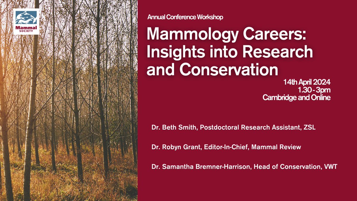 Interested in a career in mammalogy? Join @Mammal_Society's hybrid workshop - online or in Cambridge. Our speakers will share their personal journeys, reflections, and insights into the world of mammal research and conservation. Tickets: tinyurl.com/bdcpnpee