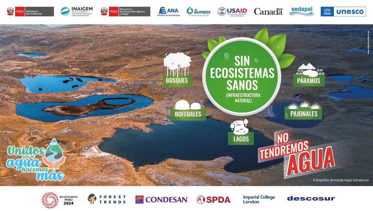 foresttrendsorg's tweet photo. Hoy en el #DíaMundialdelAgua recordamos que ¡Necesitamos ecosistemas sanos para asegurar el agua para el presente y futuro! Bosques, bofedales, páramos, pajonales y lagos son #InfraestructuraNatural clave para el agua. 
#TwitazoporelAgua
Hoy #22M todas y todos
#UnidosporelAgua https://t.co/dlvqjjzwGt