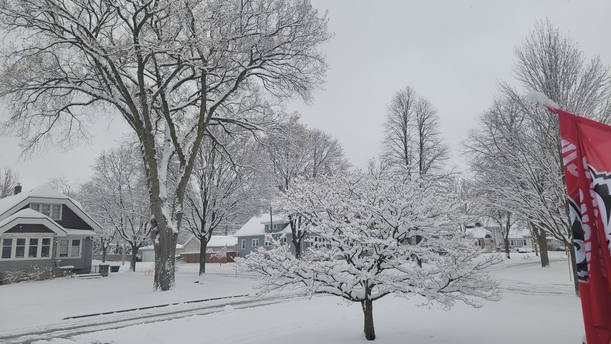 sluRN's tweet image. Snowy #Tosa.