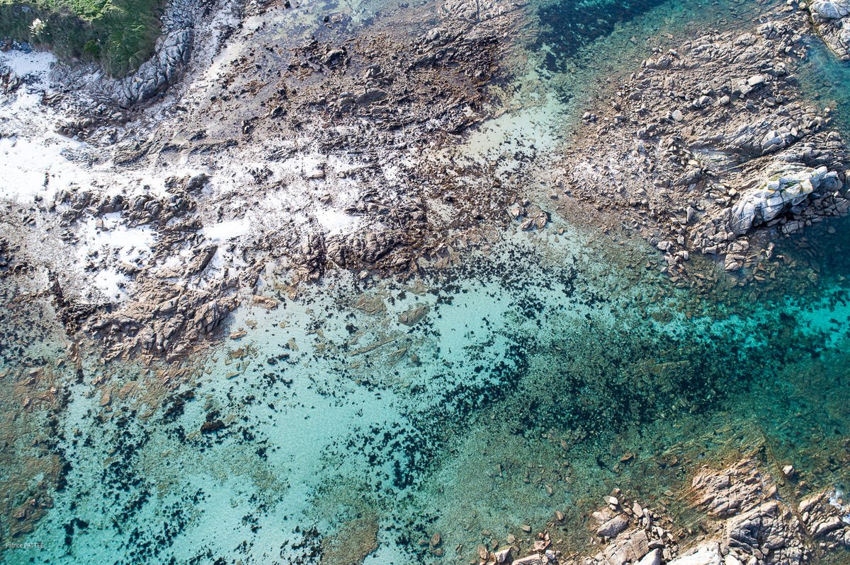 📸 Couleurs &amp; saveurs du Varquez

👉Au-delà de ses fonctions d’adjoint au maire de #Sceaux, <a href="/PATTEE_P/">Patrice PATTEE</a> est également photographe !

📅 Jusqu'au 31 mars, retrouvez ses clichés sur le thème des couleurs de la mer et les saveurs de la région du #Varquez.