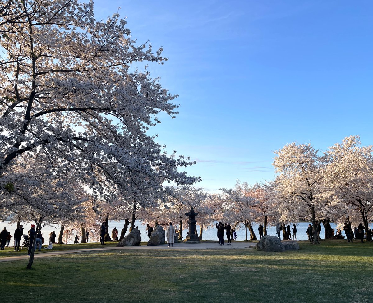 NationalMallNPS tweet picture