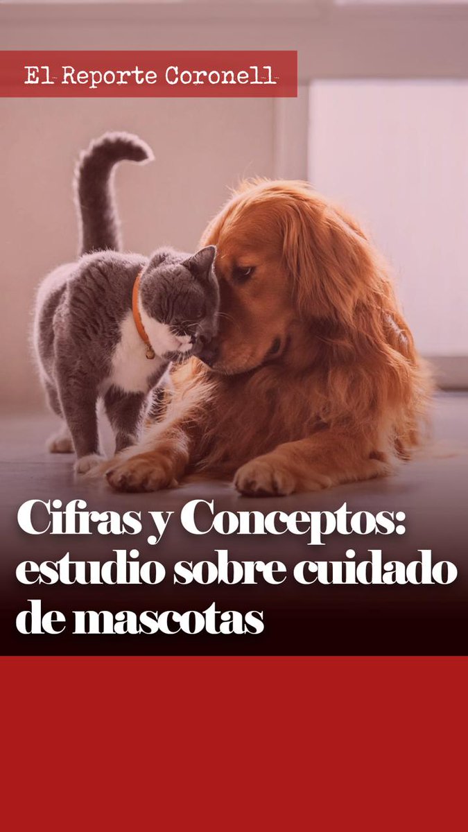RUNM_OFICIAL's tweet photo. Excelente programa de @DCoronell, hablando de #Mascotas 🐕🐈
#ElReporteCoronell 

https://t.co/bGvfSTnkqN https://t.co/KfLf7OJgIt