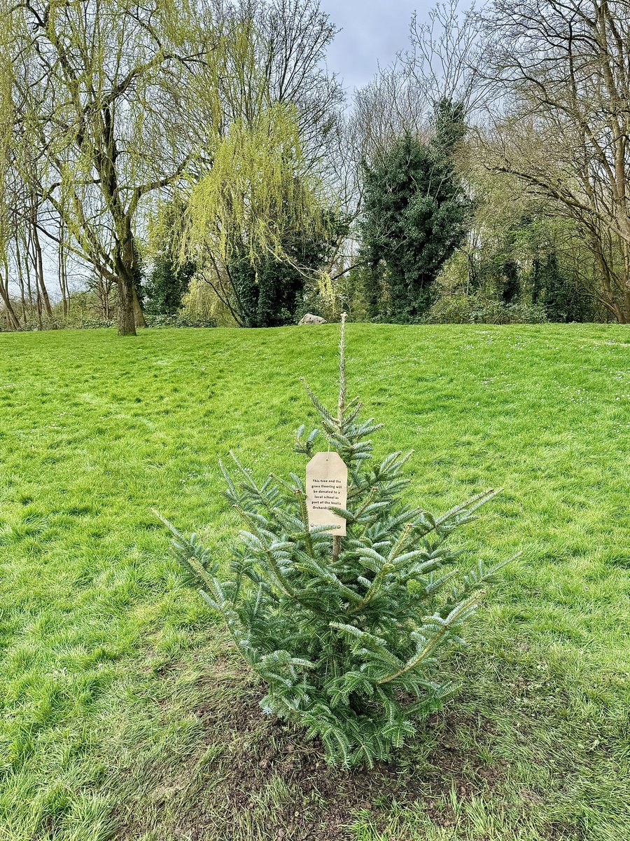 Cannon Hill Park tweet media