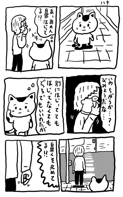 はなのきせつ 