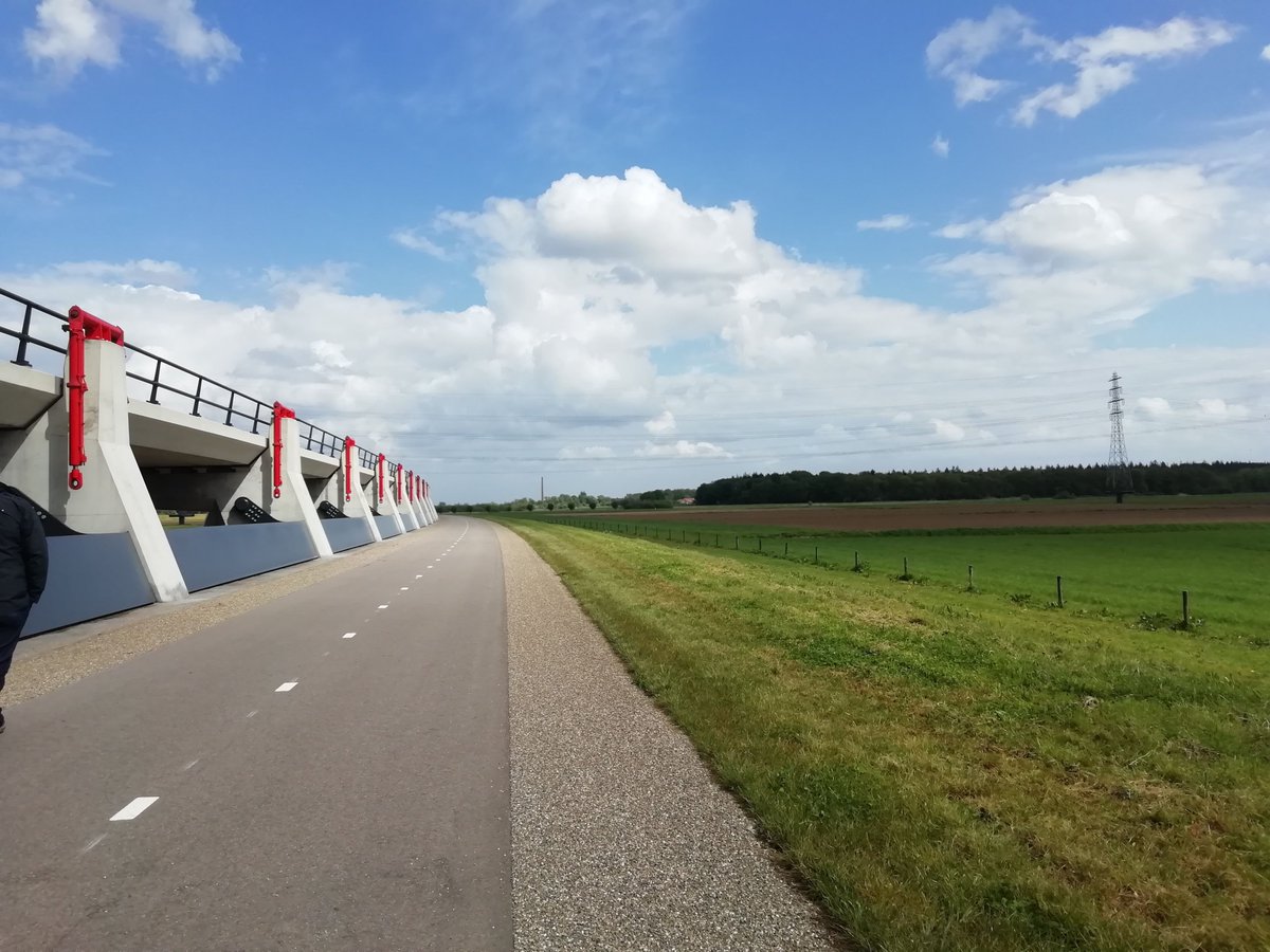 RECONECT tweet media