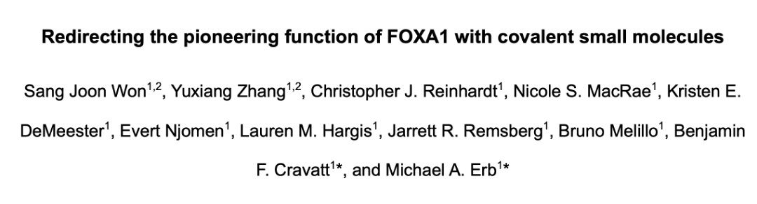 Together with the Cravatt group, we have a new manuscript out reporting the chemoproteomic discovery of covalent FOXA1 ligands that bind its DNA-binding domain, corrupt its motif preferences, and redistribute it on the genome. 1/11 biorxiv.org/content/10.110…