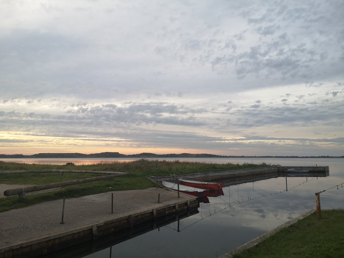 RECONECT tweet media