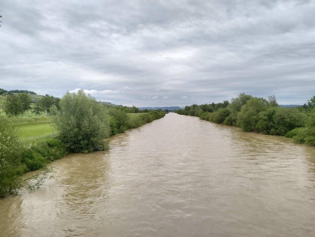 RECONECT tweet media