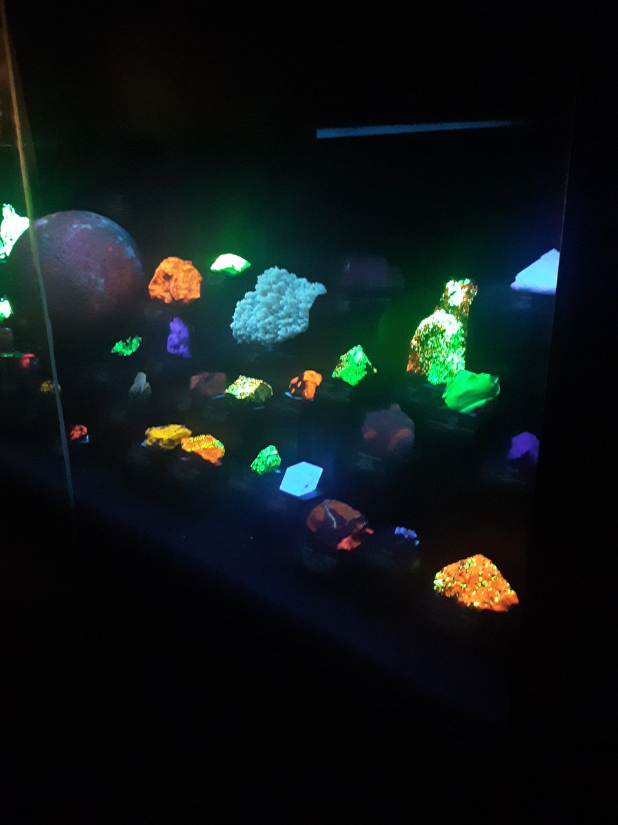 Dunleith STEM tweet media