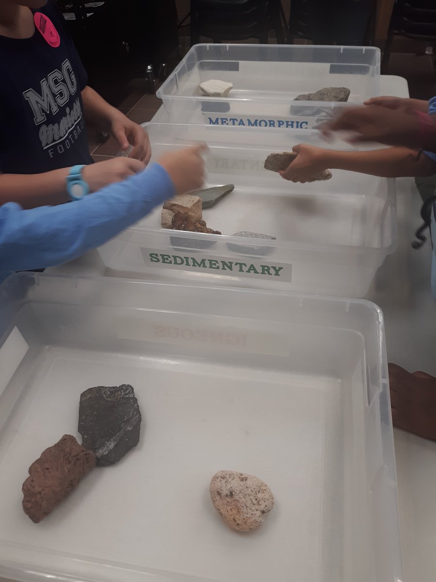 Dunleith STEM tweet media