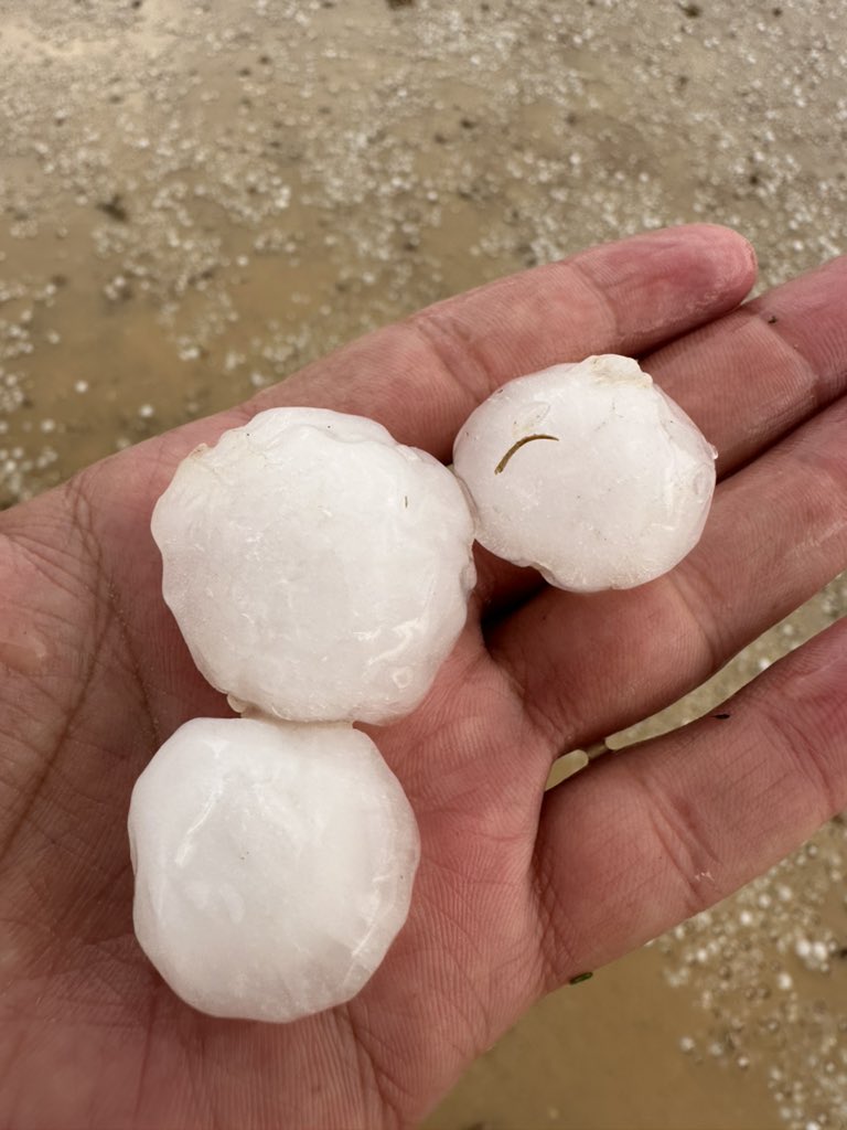 بردية افقراء غرب الدوادمي