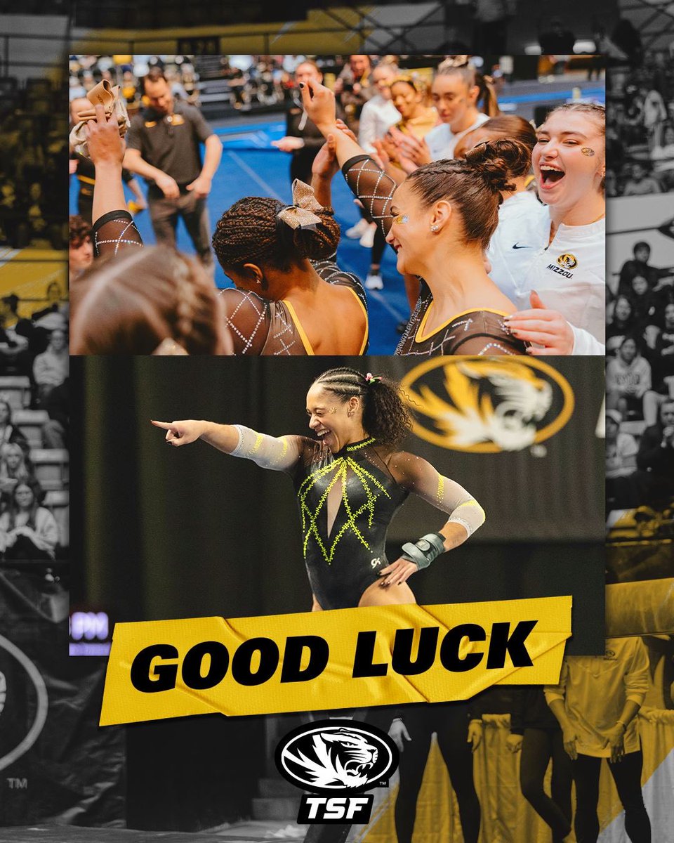THEY DECIDED TO PUSH THEIR LIMITS
THIS SEASON. NOW, THE SEC CHAMPIONSHIPS IN NEW ORLEANS WILL BE MIZZOU GYMNASTICS' BEST
PERFORMANCE YET! GOOD LUCK, GO FOR IT, AND STICK IT!
#TIGERUP #MIZ #ROARLOUDER2024
WWW. TSFMIZZOU.COM