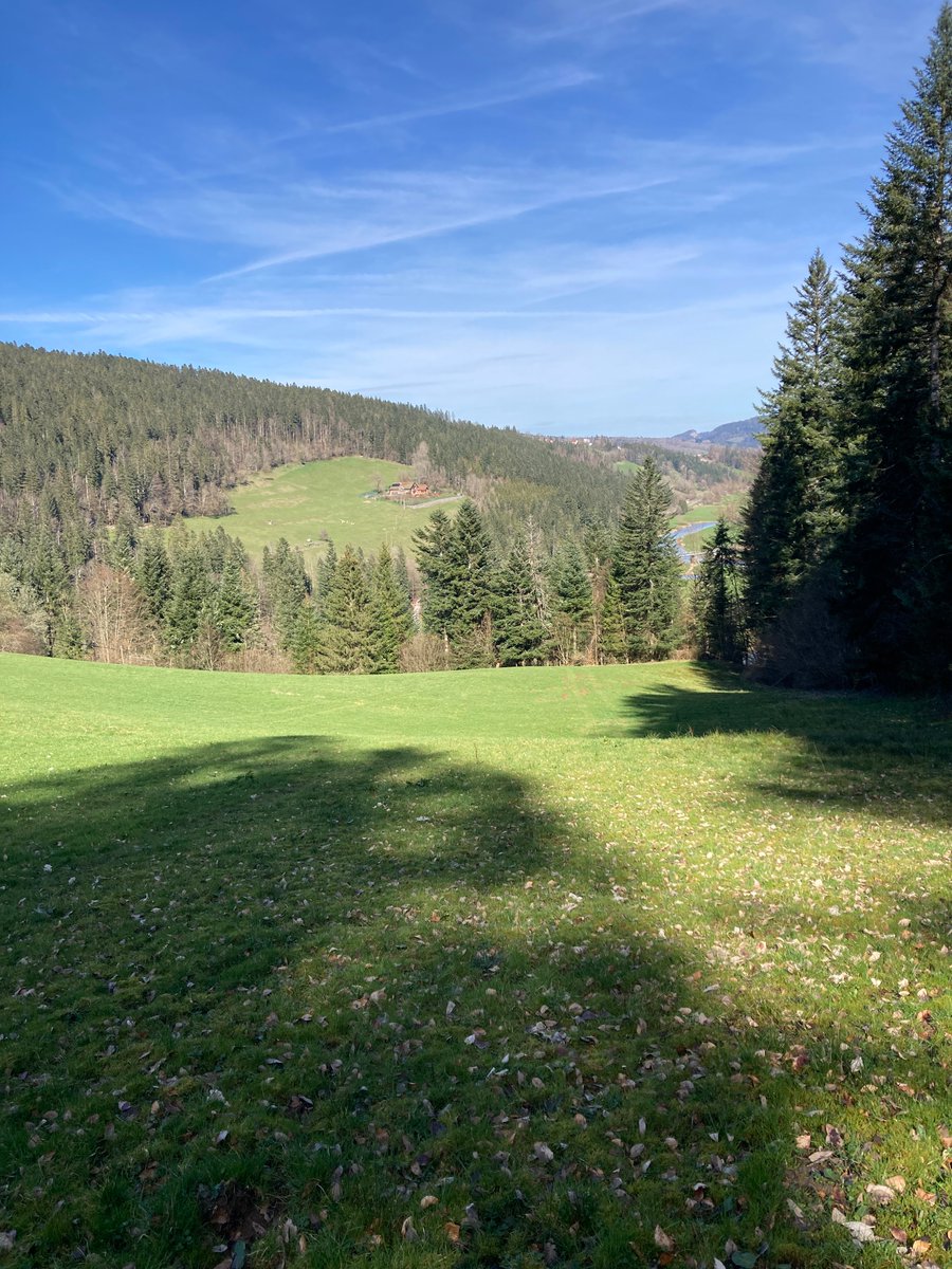 MametVincent's tweet photo. @Breizh_Girl @ValLandais Il fait beau au pays du Comté ! https://t.co/unedzh3ols