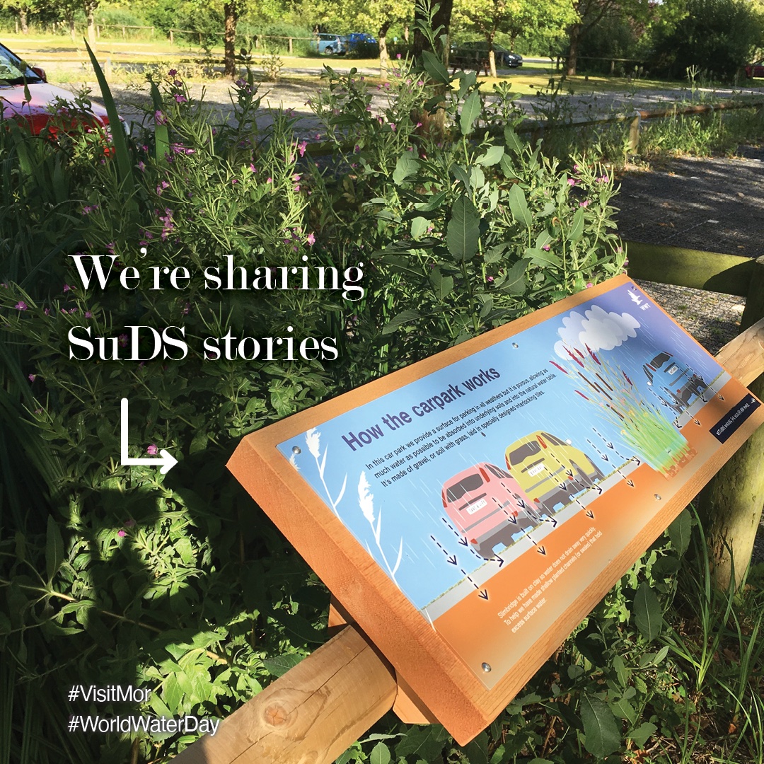 VisitMôr tweet media