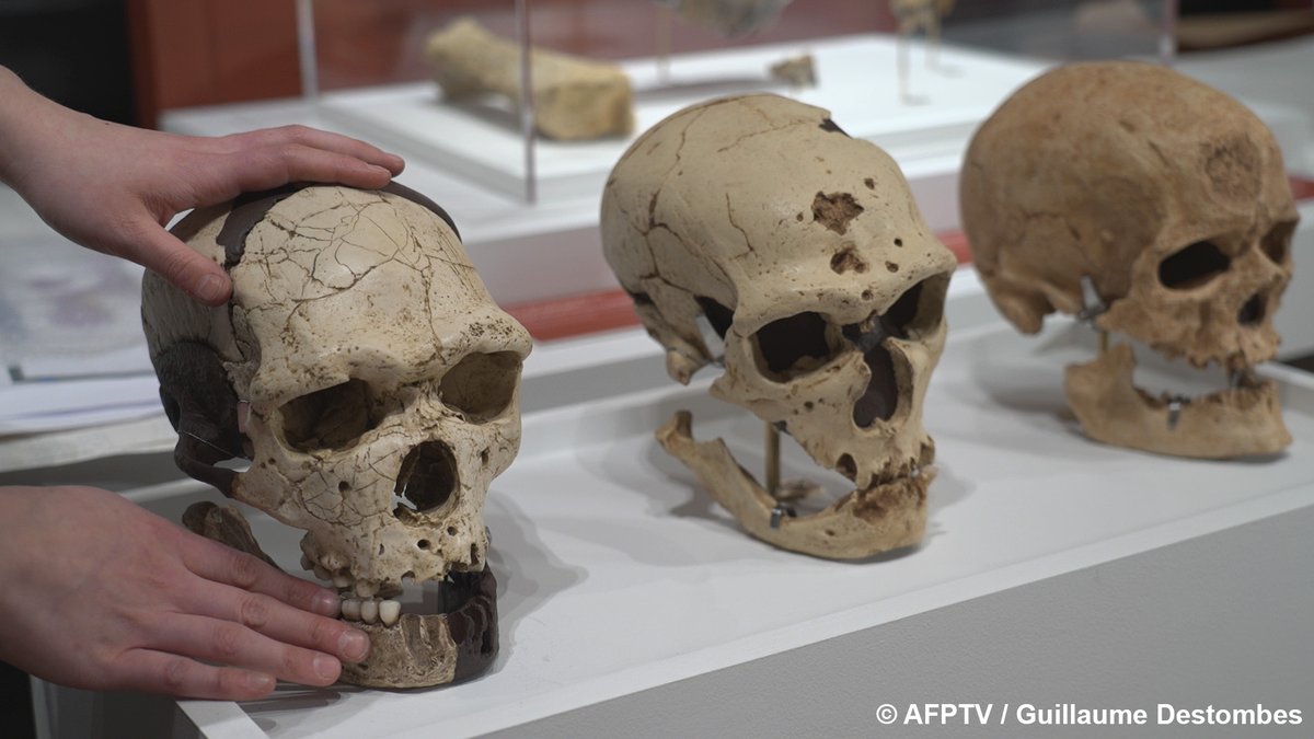 Guillaume Destombes tweet media