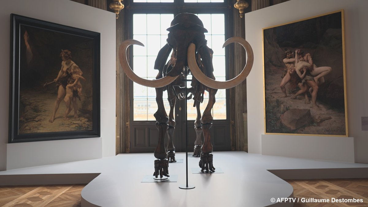 Guillaume Destombes tweet media