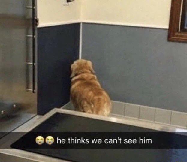 Kwesi with two first round picks and no quarterback