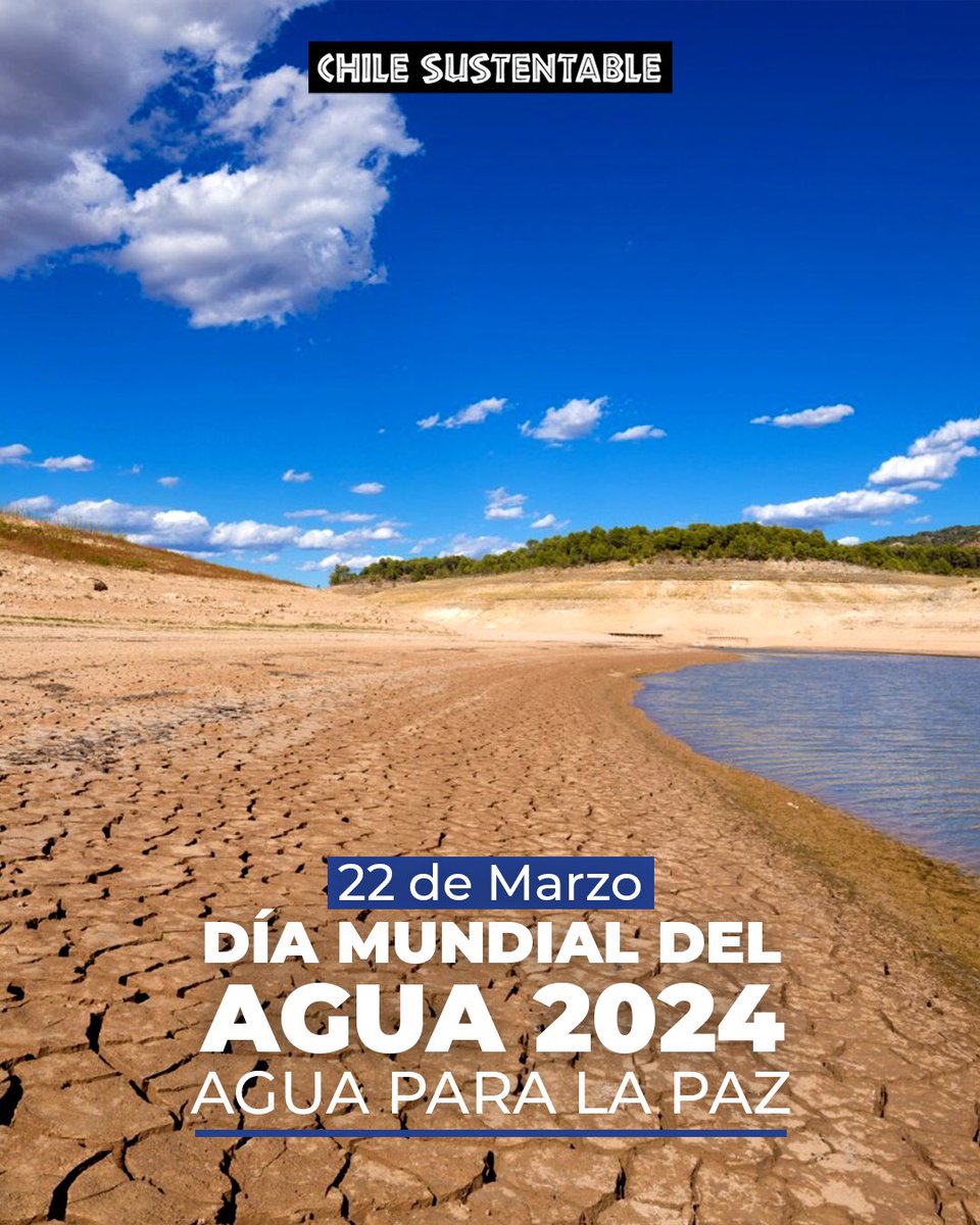 ¡Día Mundial del Agua 2024, una fecha para la acción y reflexión!. Este año, el lema 'Agua para la paz' nos recuerda que el cuidado y la gestión sostenible del agua son fundamentales para promover la paz y la equidad #DiaMundialDelAgua #AguaParaLaPaz #GestiónSostenibleDelAgua