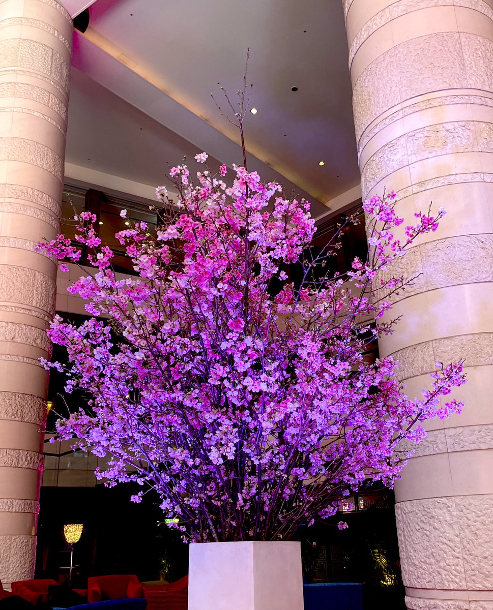 caramel_au_lait's tweet image. 博多のおもいで #HEZ