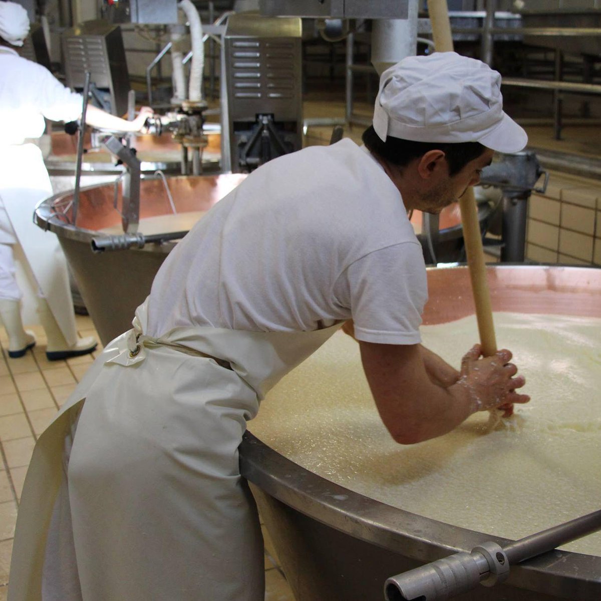 anaborare's tweet photo. In ANABoRaRe ci avvaliamo di un innovativo indice di selezione della razza: l'IFPR.
Ci consente di assicurare un aumento della produzione di latte di Reggiana e del contenuto qualitativo e percentuale della caseina.
👉 Tutte le info qui: https://t.co/gWryiIyqP7 https://t.co/uU6GwKTvuj