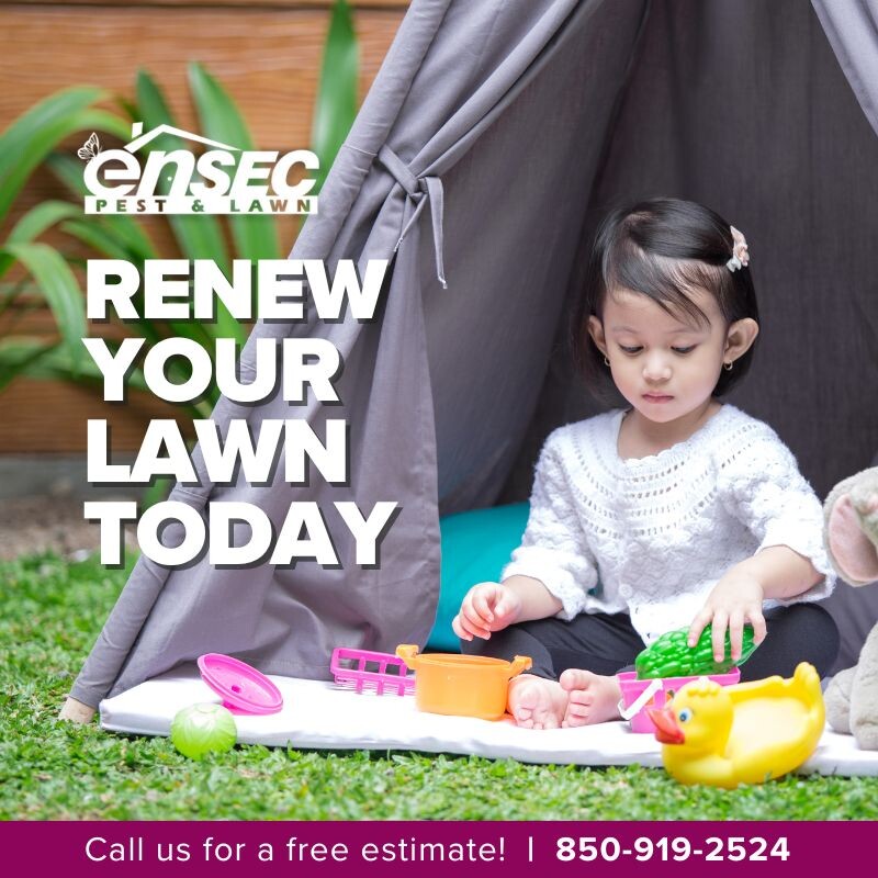 In addition to general pest control, our technicians are experts in specific areas, including lawn services. This specialization allows us to offer targeted solutions tailored to the unique needs for your home. #HealthyLawn #LawnCare