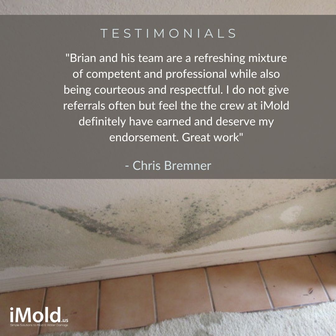 "Brian and his team are a refreshing mixture of competent and professional while also being courteous and respectful. Great work"
- Chris Bremner
Thank you, Chris, for your generous endorsement!