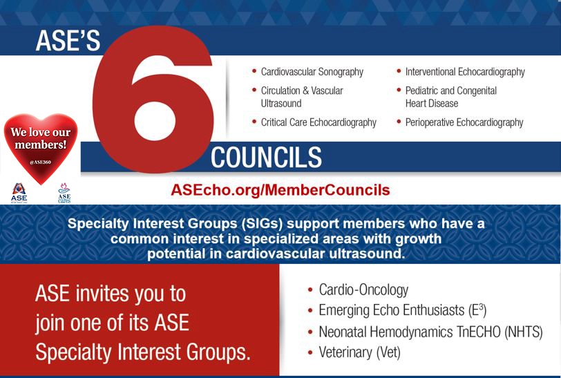ASE Councils & SIGs & Forums bring together members with common professional interests, for networking & knowledge sharing. Council chairs also serve on the ASE Board of Directors and provide guidance on matters pertaining to their subspecialty area. #ASEMemberDay #HeartofASE