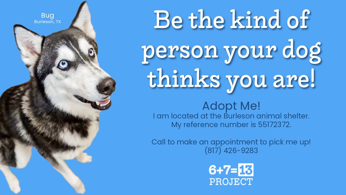6713Project's tweet image. #gotstress #philippians4:13 #philippians4:6-7 #bekind #yougotthis #managestress #smile

6713project.com