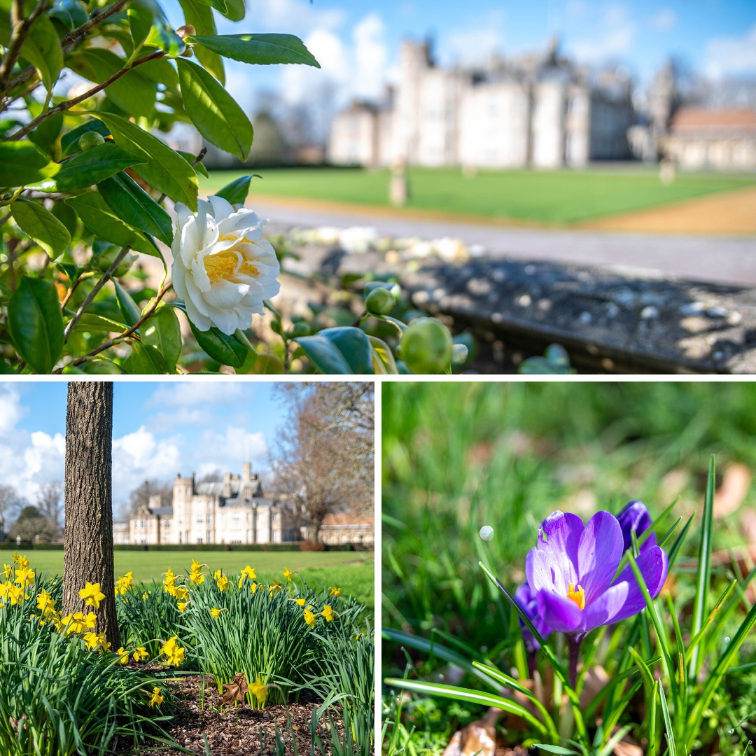 Wishing our Canford Community a very happy and relaxing Easter break! 🐣🌼 We look forward to welcoming you back for an action-packed summer term ☀️ #Canford #CanfordSchool #CanfordCommunity #Easter #EasterHoliday