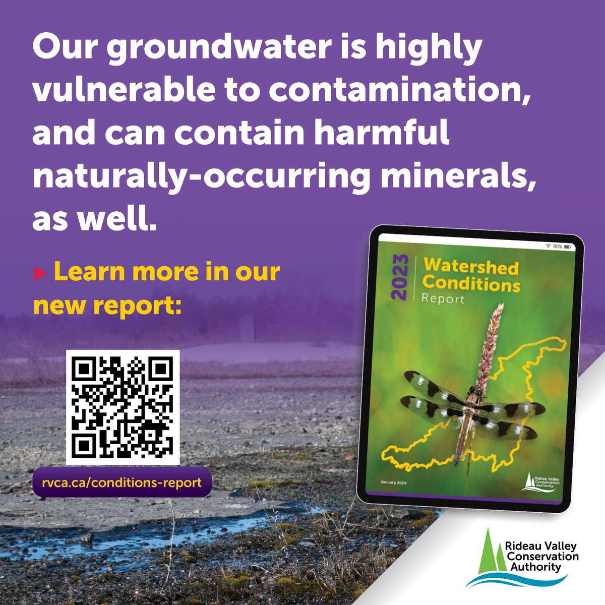 This #WorldWaterDay, discover the risks facing our groundwater aquifers, which feed thousands of private #drinkingwater wells across the region. Our new Watershed Conditions Report has all the details at rvca.ca/conditions-rep…