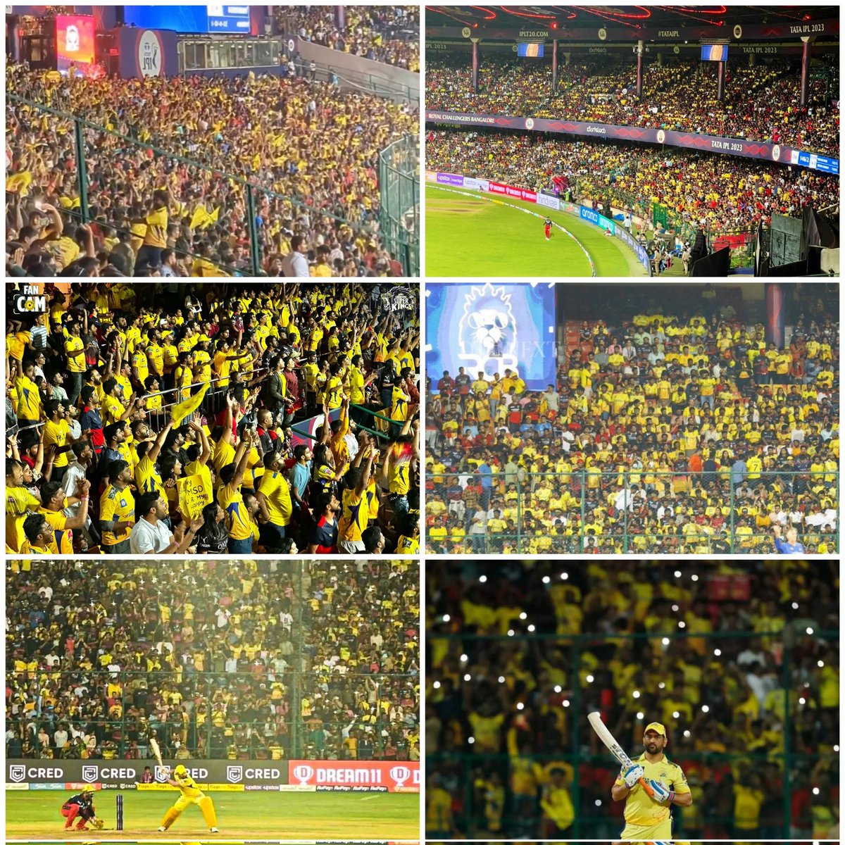 Two home grounds of CSK Chepauk. Chinnaswamy