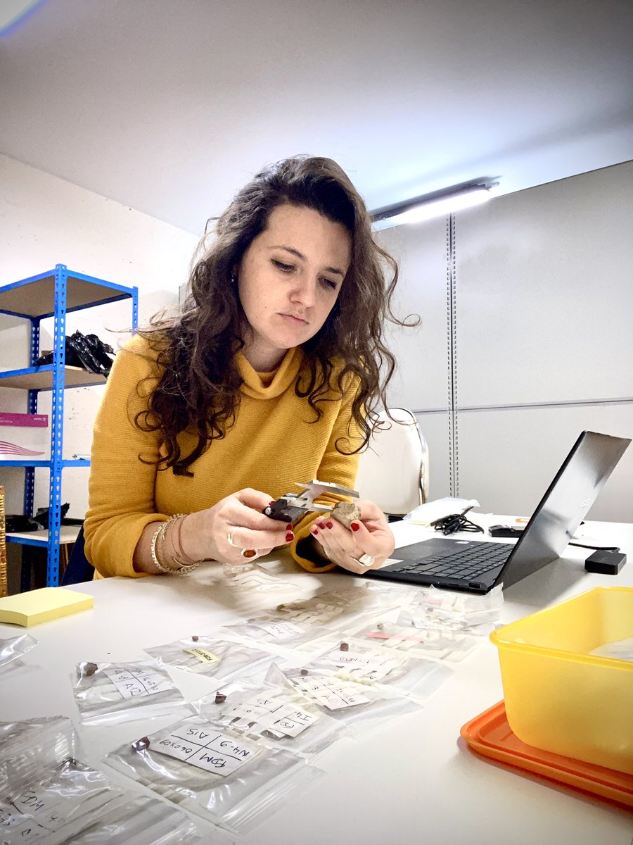 📝 La investigadora @DanielaERosso ha estat al museu de Mula estudiant la col·lecció de colorants dels jaciments de Rambla Perea (Mula, Múrcia) datats al Paleolític superior, en col·laboració amb J. Zilhão (@ULisboa_), J. Zapata (@UMU) i A. Pitarch (@UniBarcelona) 🎨