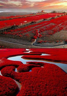 #JuntosConMagda 
#FRIENDSFOLLBACK
<a href="/AbidinBoryta/">🕋𝓐𝓫𝓲𝓭𝓲𝓷 𝓑𝓸𝓻𝔂𝓽𝓪 🇮🇩</a>
<a href="/Magdale_Aguilar/">꧁🅼🅰🅶🅳🅰❥꧂</a>
<a href="/XEpifania3/">Sophie</a>
<a href="/florchicana/">Selene  🖤Perfectly imperfect 🖤❌DM❌</a>
<a href="/Da__Eliz/">Eli👸</a>
@ApureSniet16319
<a href="/JennyDazze/">𝒥ℯ𝓃𝓃𝓎࿐🦋</a>
<a href="/zahoorap1/">zahoor ahmed</a>
<a href="/RobertPage68/">👉Robert👈 〰️#EliFriends〰️</a>
@Luisalf47702860
<a href="/nunespereirabr/">𝑀𝑎𝑟𝑖𝑎 𝒥𝑜𝑎𝑜</a>
<a href="/Oce_2520/">OmEr</a>
<a href="/vipdivaX/">𝐻𝒾𝓁𝒶𝓁</a>
@tributeMads
<a href="/h11437074/">Khalil Hassan</a>
@adityasingh7865
<a href="/Ines1466/">🌟🌊Estrella De Mar 🌊🌟🌊</a>
<a href="/FanstarSelena/">Selena Fan 🖤𝘧𝘢𝘯🖤𝘢𝘤𝘤𝘰𝘶𝘯𝘵🖤</a>