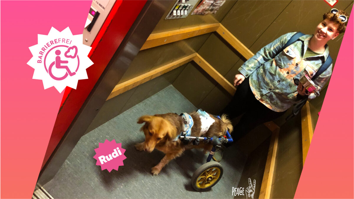 Peter Pichler tweet media