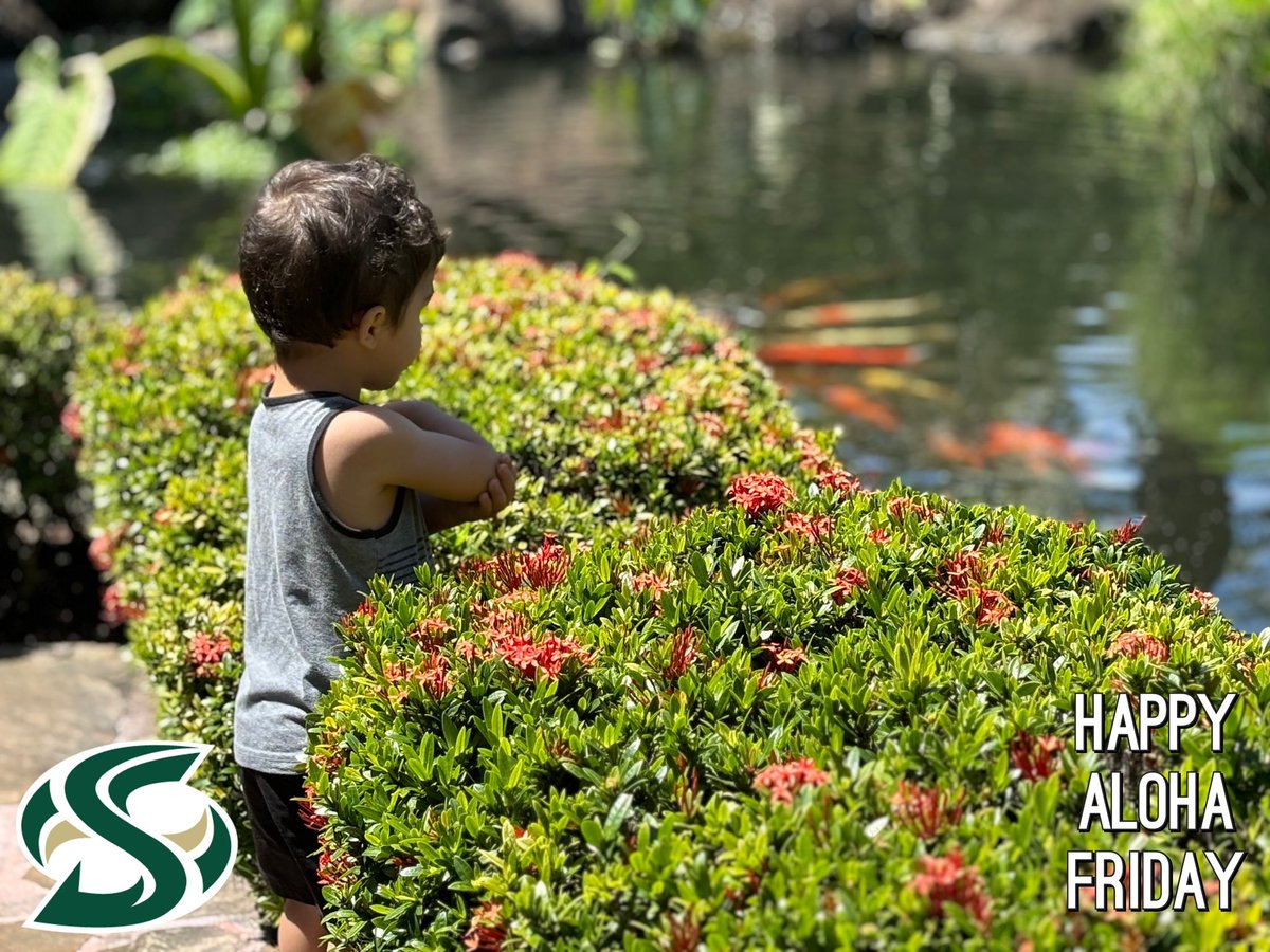 Cherokee Valeria tweet media