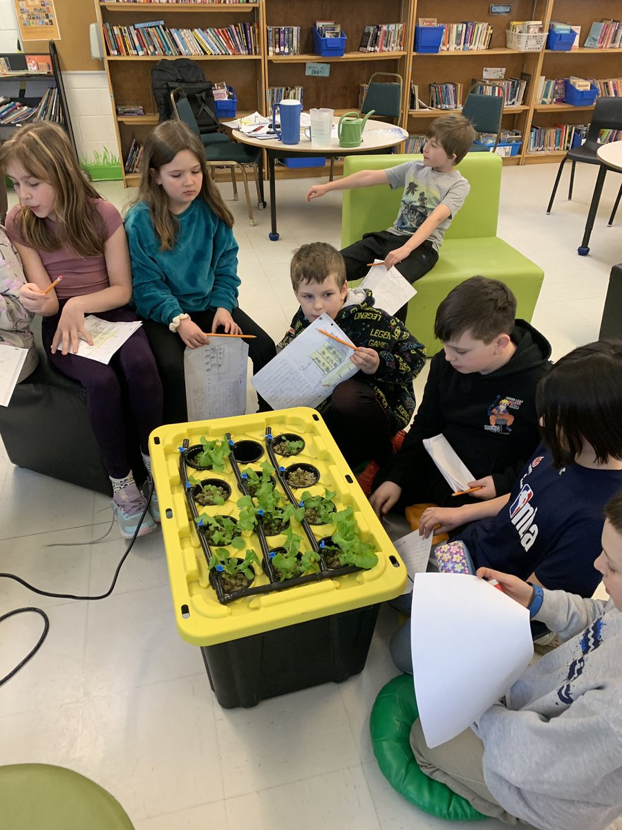 PE’s Library Learning Commons tweet media