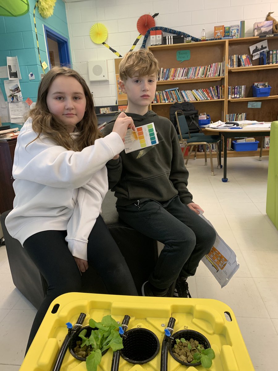 PE’s Library Learning Commons tweet media