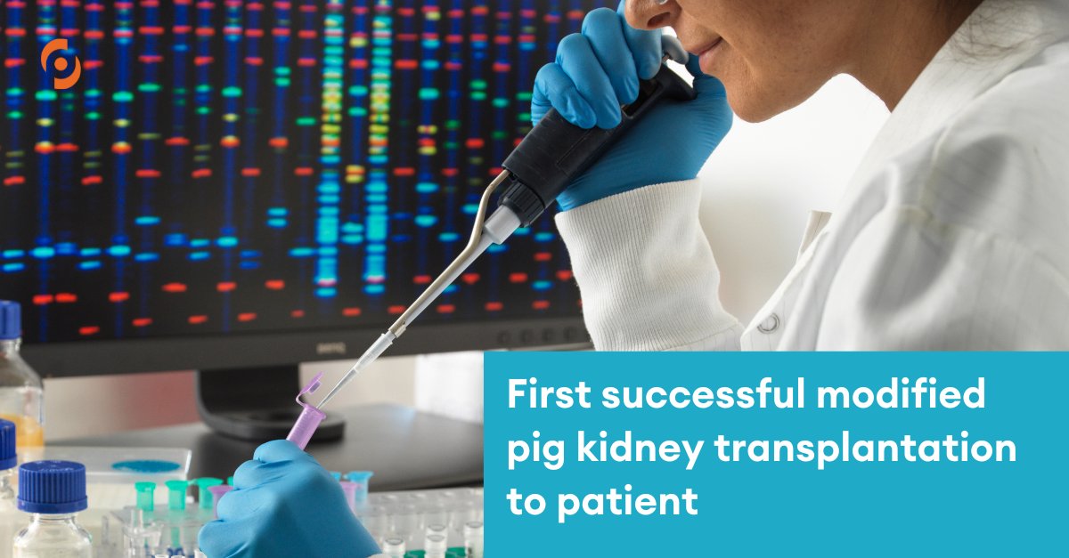 A monumental step forward in the field of organ transplantation. As @MassGeneralNews has performed the first human transplant of a genetically modified pig kidney, offering hope to those with end-stage kidney disease. Read more about the procedure here: npr.org/sections/healt…