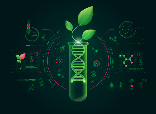 The revolutionary world of biotechnology is seen as the fountain of youth, transforming medicine and extending lifespan with cutting-edge advancements. Discover how groundbreaking innovations are paving the way for new health treatments. belouga.org/series/revolut…