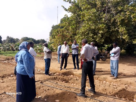 In #Sudan's Kassala State, we're helping farmers produce more vegetables through Sustainable Agrifood Systems Approach for Sudan partnership with @USAID, @WorldVegCenter & @PracticalAction, to mitigate food insecurity amid devastating conflict. #السودان bit.ly/42iClQ6