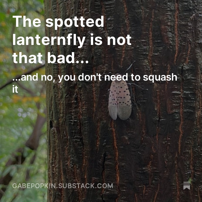 If you live in the eastern US, you've probably been told to squash every spotted lanternfly you see. In my latest post for The Nature Beat, I argue that all this squashing of lanternflies is unnecessary and a waste of energy. Give it a read!

gabepopkin.substack.com/p/the-spotted-…